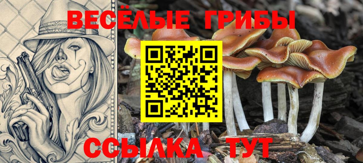 Бутират Майский