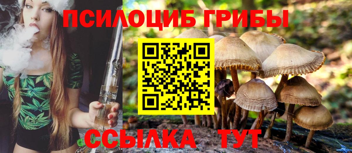 Галлюциногенные грибы GOLDEN TEACHER  наркошоп  Майский  Галлюциногенные грибы Psilocybe  Вход с VPN 